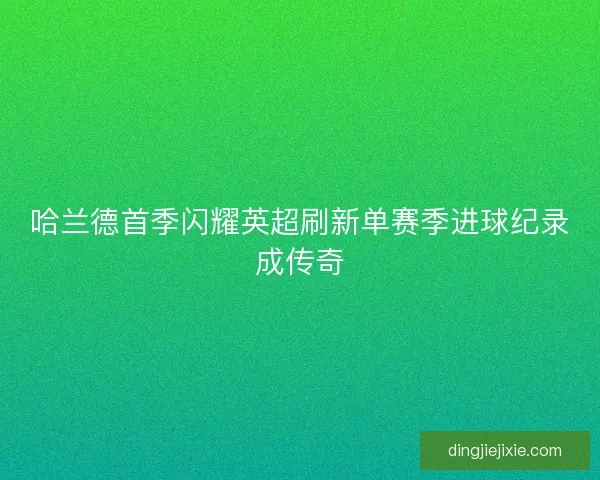 哈兰德首季闪耀英超刷新单赛季进球纪录成传奇